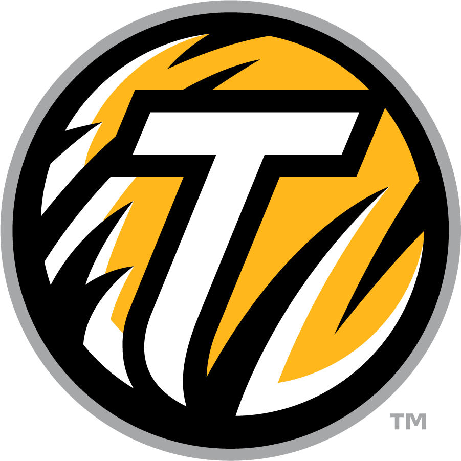 Towson Tigers 2011-2020 Secondary Logo iron on transfers for T-shirts